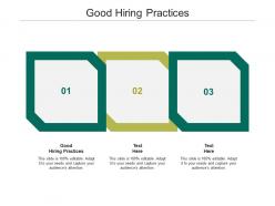 Good hiring practices ppt powerpoint presentation styles microsoft cpb