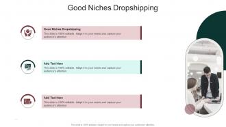 Good Niches Dropshipping In Powerpoint And Google Slides Cpb