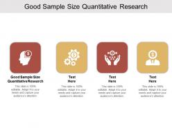 Good sample size quantitative research ppt powerpoint presentation slides guide cpb