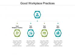 Good workplace practices ppt powerpoint presentation file background designs cpb