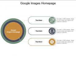 Google images homepage ppt powerpoint presentation file rules cpb
