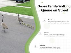 Goose Family Walking In Queue On Street