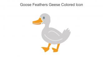 Goose Feathers Geese Colored Icon In Powerpoint Pptx Png And Editable Eps Format