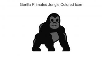 Gorilla Primates Jungle Colored Icon In Powerpoint Pptx Png And Editable Eps Format