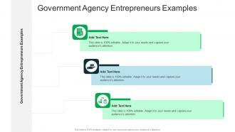 Government Agency Entrepreneurs Examples In Powerpoint And Google Slides Cpb