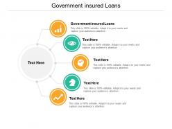 Government insured loans ppt powerpoint presentation infographic template pictures cpb