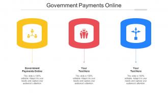 Government Payments Online Ppt Powerpoint Presentation Infographics Styles Cpb