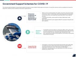 Government support schemes for covid 19 ppt powerpoint presentation icon portrait