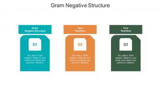 Gram negative structure ppt powerpoint presentation styles slides cpb