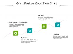 Gram positive cocci flow chart ppt powerpoint presentation portfolio example file cpb