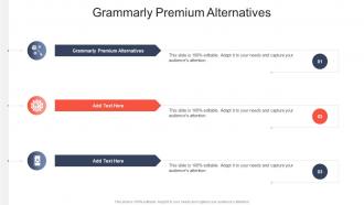 Grammarly Premium Alternatives In Powerpoint And Google Slides Cpb