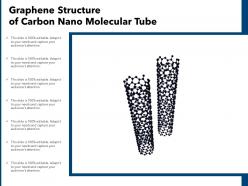 Graphene structure of carbon nano molecular tube