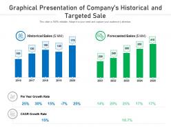 Graphical presentation of companys historical and targeted sale