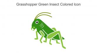 Grasshopper Green Insect Colored Icon In Powerpoint Pptx Png And Editable Eps Format