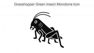 Grasshopper Green Insect Monotone Icon In Powerpoint Pptx Png And Editable Eps Format