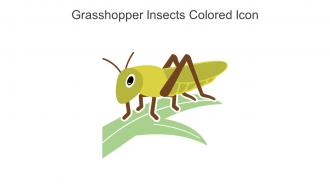 Grasshopper Insects Colored Icon In Powerpoint Pptx Png And Editable Eps Format