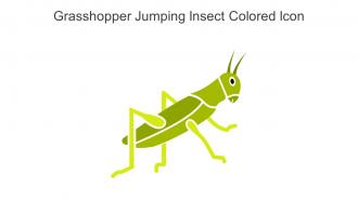 Grasshopper Jumping Insect Colored Icon In Powerpoint Pptx Png And Editable Eps Format