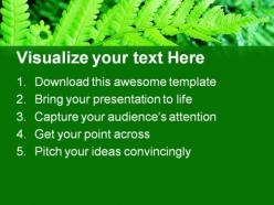 Green fern nature powerpoint templates and powerpoint backgrounds 0411