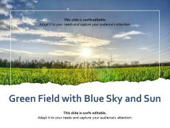 Green field with blue sky and sun
