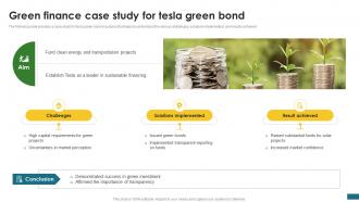 Green Finance Case Study For Tesla Green Finance Fostering Sustainable CPP DK SS