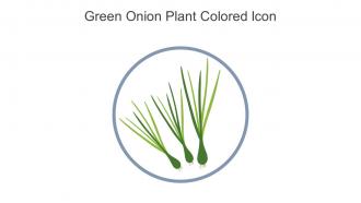 Green Onion Plant Colored Icon In Powerpoint Pptx Png And Editable Eps Format