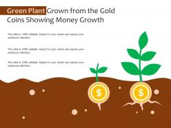 Green plant grown from the gold coins showing money growth