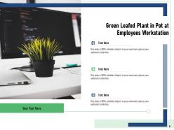 Green Plant Investment Ceramic Workstation Screen Computer Monitor