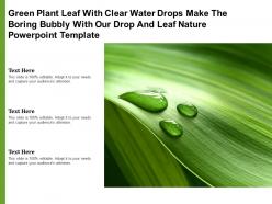Green plant leaf with clear water drops make boring bubbly with our drop leaf nature template