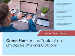 Green plant on the table of an employee working outdoor