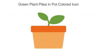 Green Plant Pilea In Pot Colored Icon In Powerpoint Pptx Png And Editable Eps Format