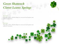 Green shamrock clover leaves springs