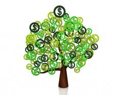 Green tree with leaves of dollar symbol stock photo