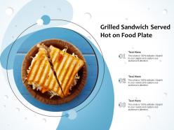 Grilled sandwich served hot on food plate