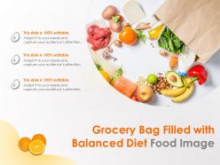 Grocery bag filled with balanced diet food image