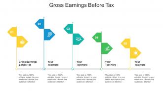 Gross earnings before tax ppt powerpoint presentation professional outfit cpb