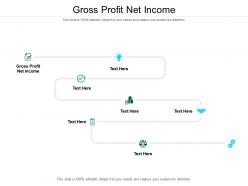 Gross profit net income ppt powerpoint presentation show example cpb