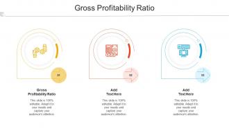 Gross Profitability Ratio Ppt Powerpoint Presentation Pictures Graphics Cpb