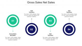 Gross Sales Net Sales In Powerpoint And Google Slides Cpb