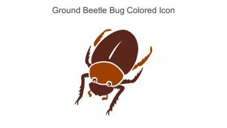 Ground Beetle Bug Colored Icon In Powerpoint Pptx Png And Editable Eps Format