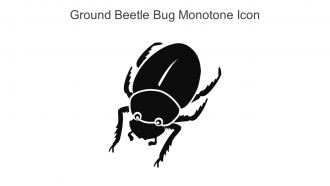 Ground Beetle Bug Monotone Icon In Powerpoint Pptx Png And Editable Eps Format