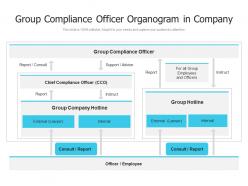 Group Compliance Officer Organogram In Company