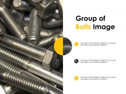Group of bolts image