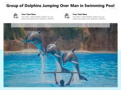 Group of dolphins jumping over man in swimming pool