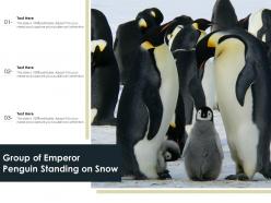 Group of emperor penguin standing on snow