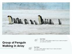 Group of penguin walking in array