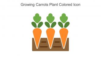 Growing Carrots Plant Colored Icon In Powerpoint Pptx Png And Editable Eps Format