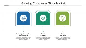 Growing companies stock market ppt powerpoint presentation professional tips cpb