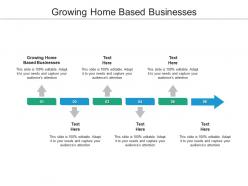 Growing home based businesses ppt powerpoint presentation slides professional cpb