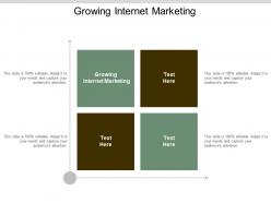 Growing internet marketing ppt powerpoint presentation gallery information cpb
