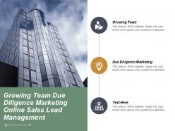 growing_team_due_diligence_marketing_online_sales_lead_management_cpb_Slide01